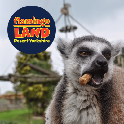 Flamingo Land – Winter Zoo 4 Person Pass