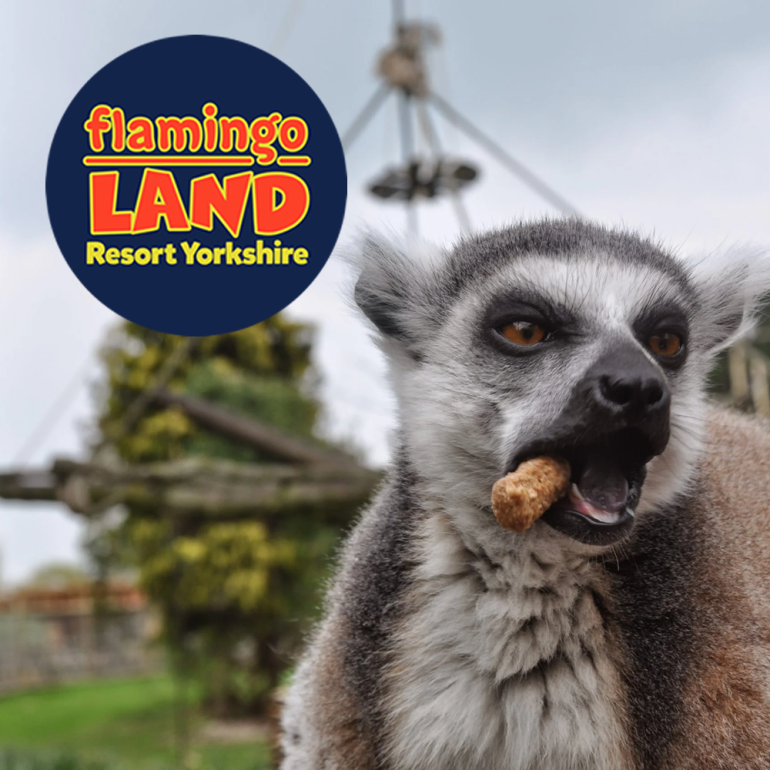 Flamingo Land - Winter Zoo 4 Person Pass